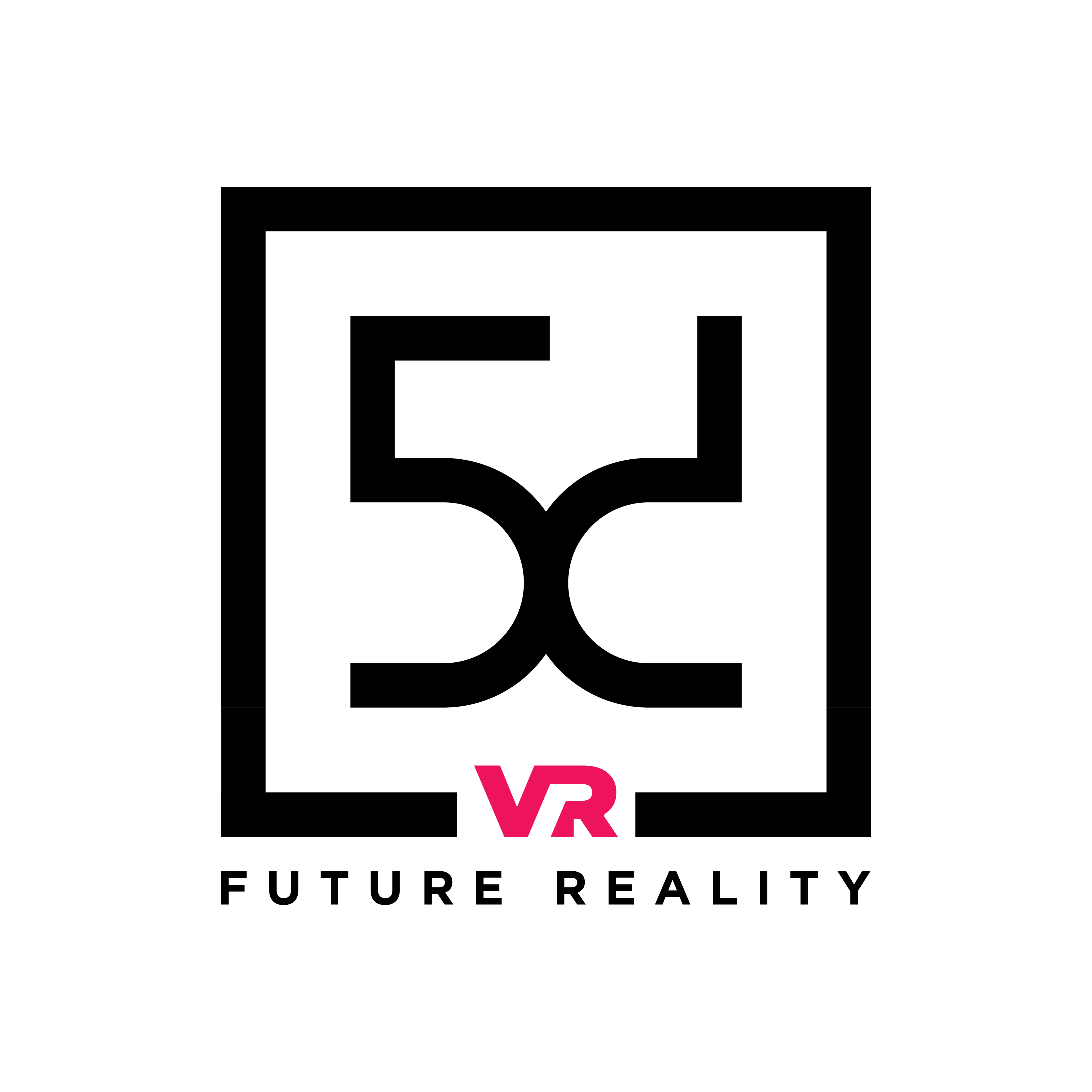 5dVR - logo