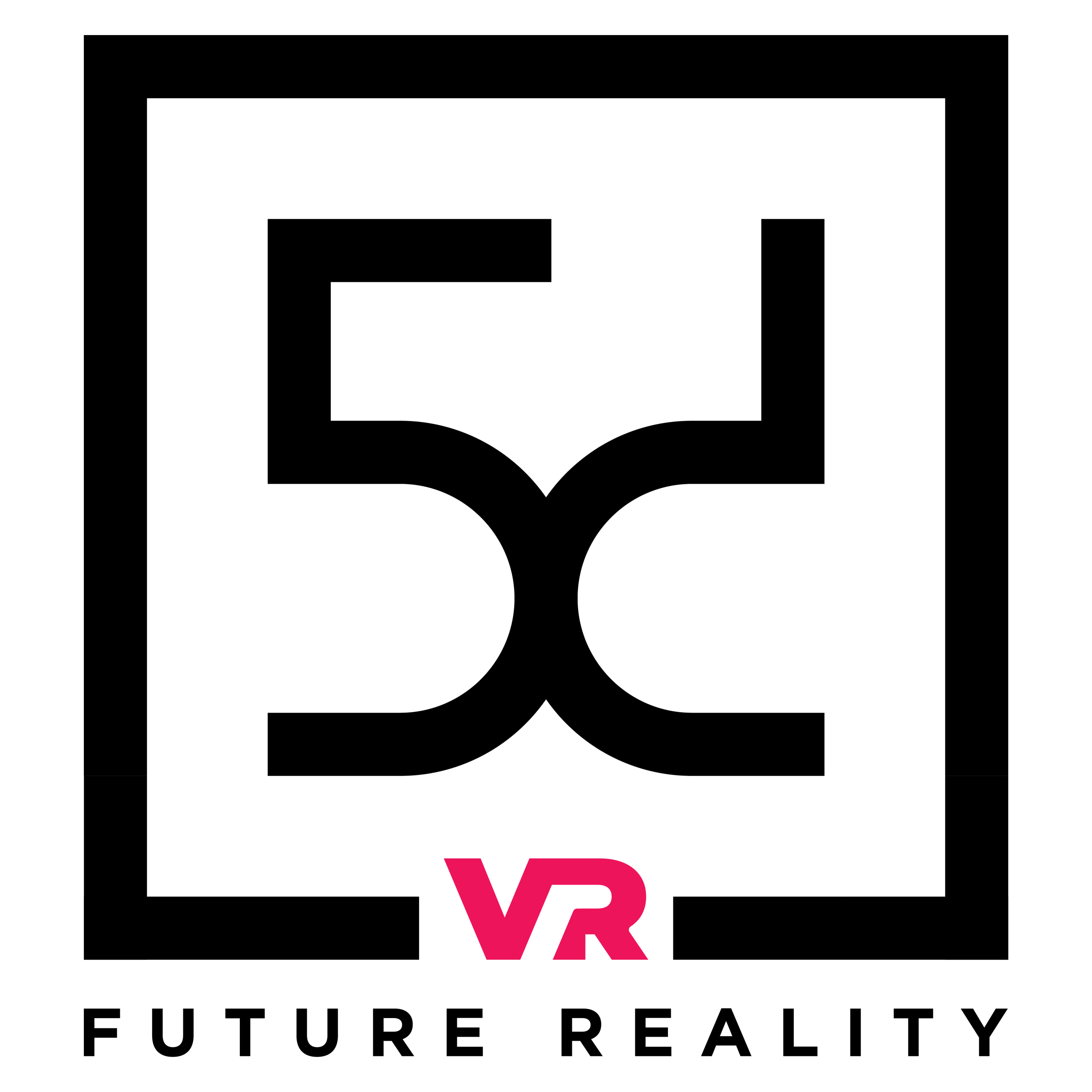 5dVR - logo